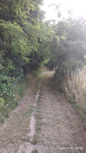 Fauchage au Bois Gibet