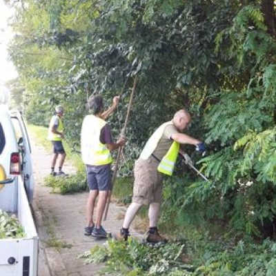 Chaussée de Jodoigne: Ebrancher pour ne pas être éborgné