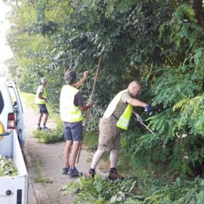 Chaussée de Jodoigne:  Ebrancher pour ne pas être éborgné